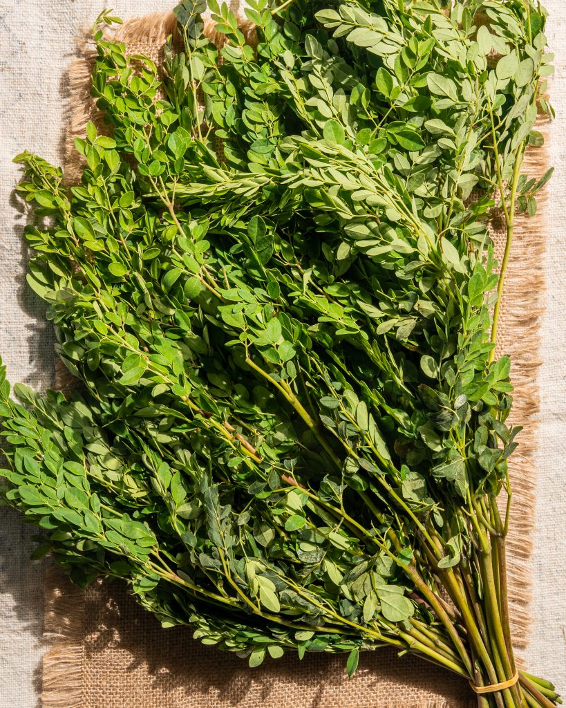 moringa leaves